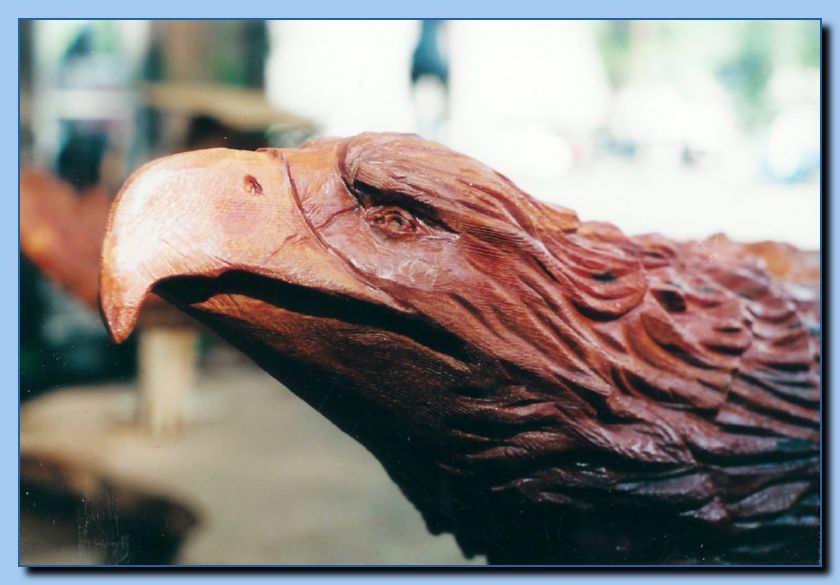 2-03 eagle with wings out, attached -archive-0008